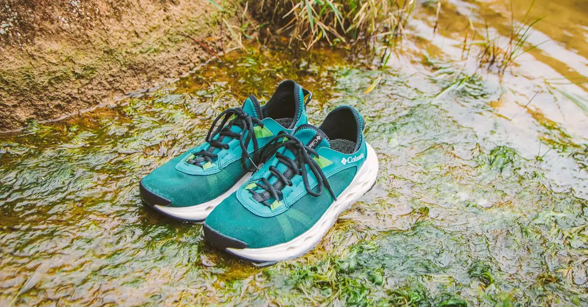 Chaussure course a pied route et chemin
