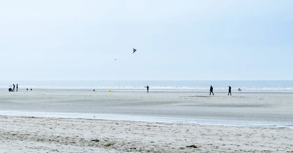 Course a pied normandie decembre 2013