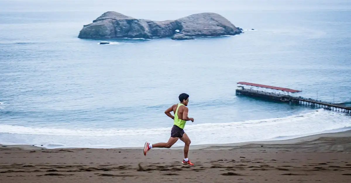 Pointure chaussure course a pied